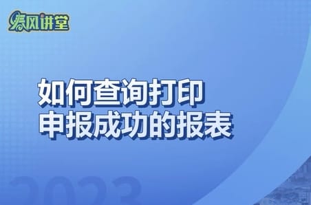 如何查詢打印申報成功的報表？